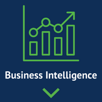 Business Intelligence